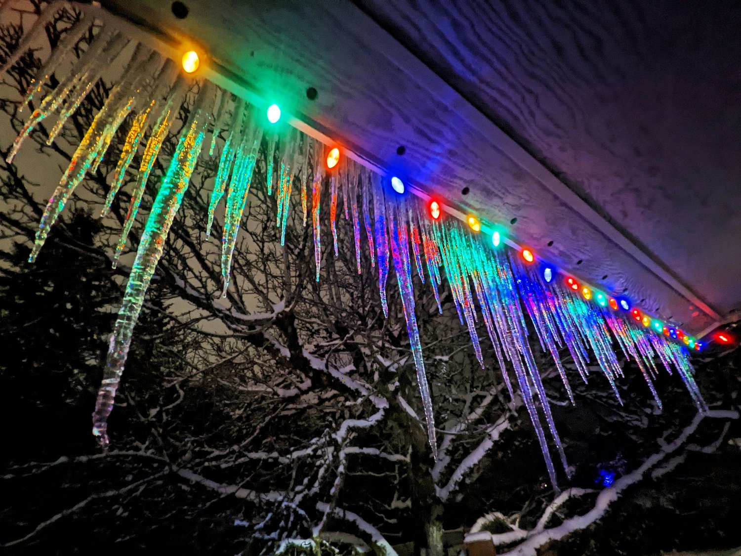 "Icicles and Christmas lights on our garage south of Chehalis," wrote  Brittany Voie.